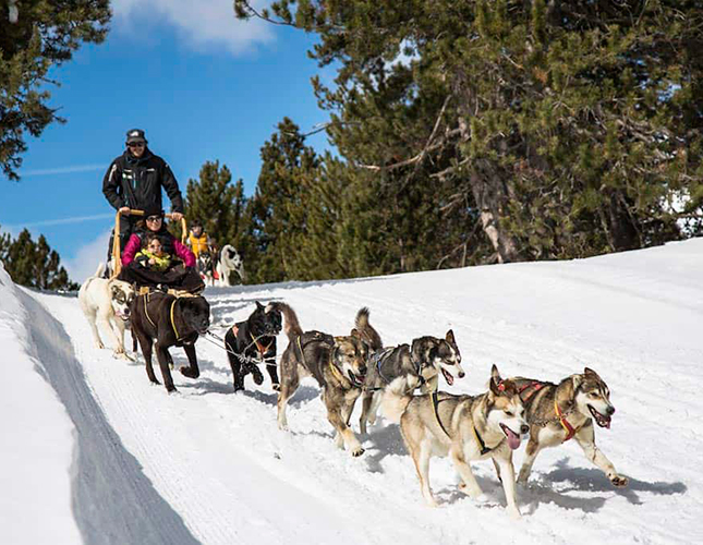 Actividades Invierno 9 645x500_Mushing