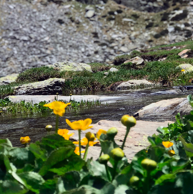Actividades Verano 1 645x648_andorra-naturaleza