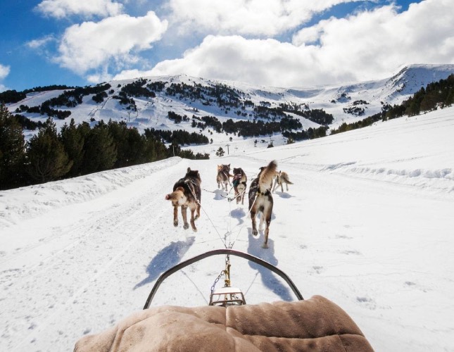 Actividades Invierno 10 andorra-mushing-invierno