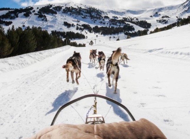 andorra mushing grandvalira