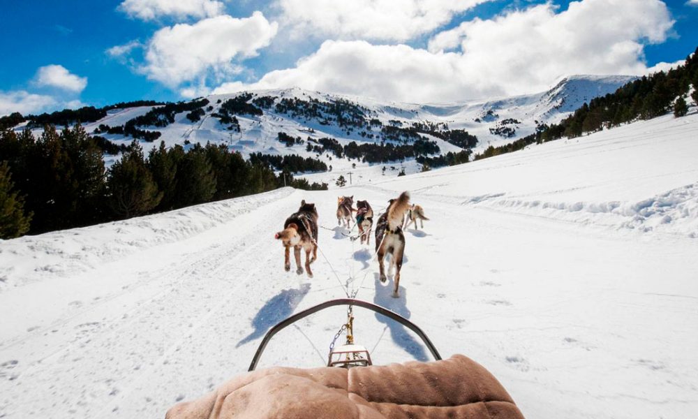 Activités de neige